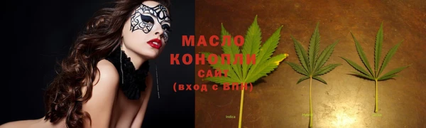 дурь Инсар